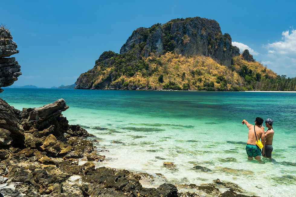 Two men stand in shallow turquoise water, pointing toward a rocky tropical island under a clear blue sky.