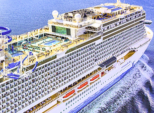 NCL Bliss.png