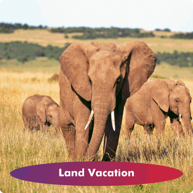 Start Planning a Land Vacation GIF