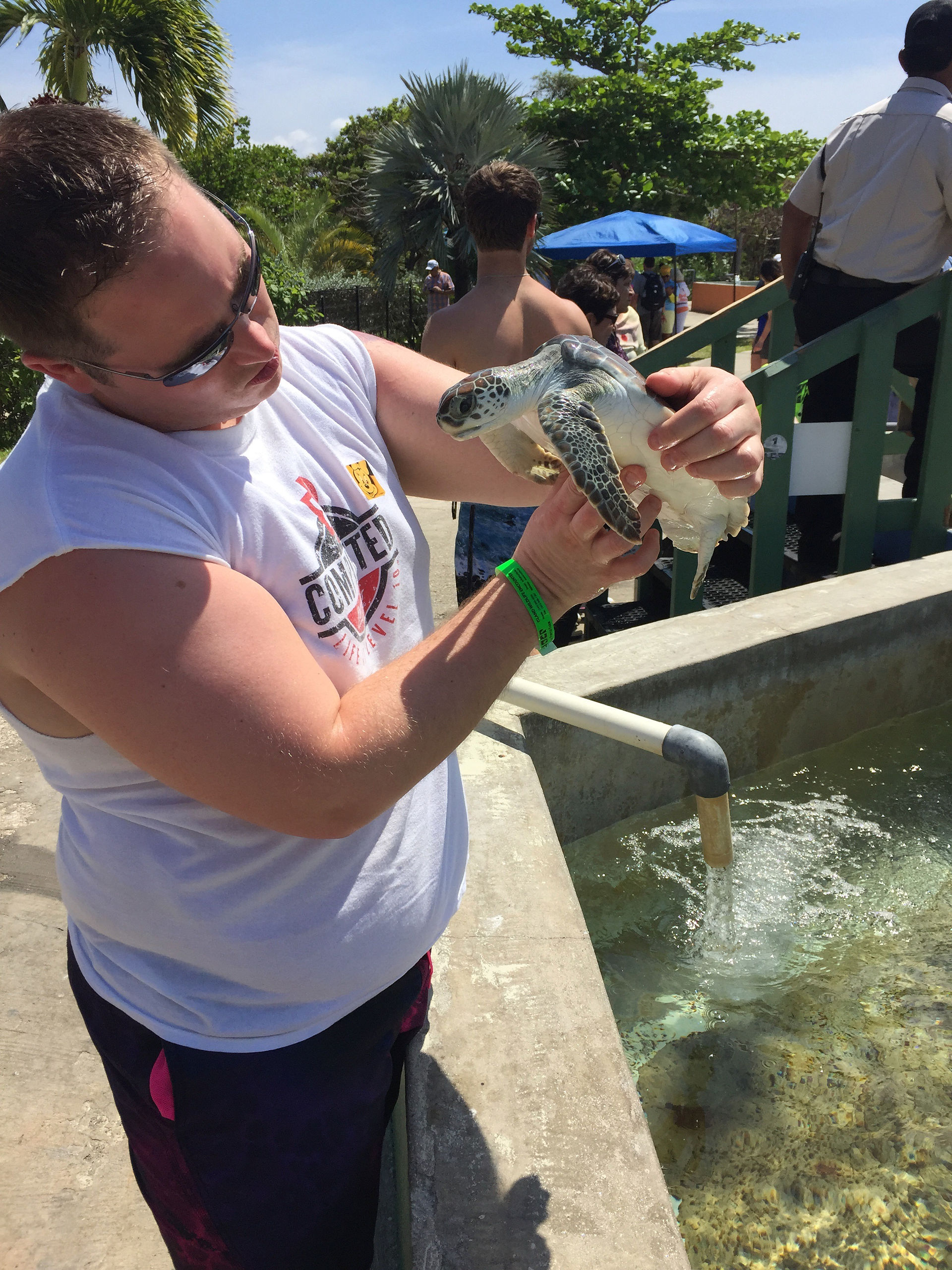 Holding a sea turtle