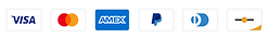 Six accepted payment icons.png