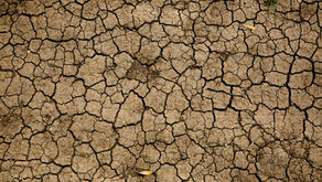 Les conséquences du changement climatique en Afrique de l’Ouest. 