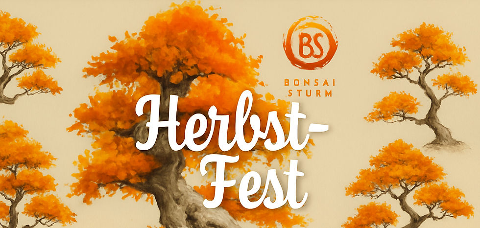 Autumn Festival at Bonsai Sturm