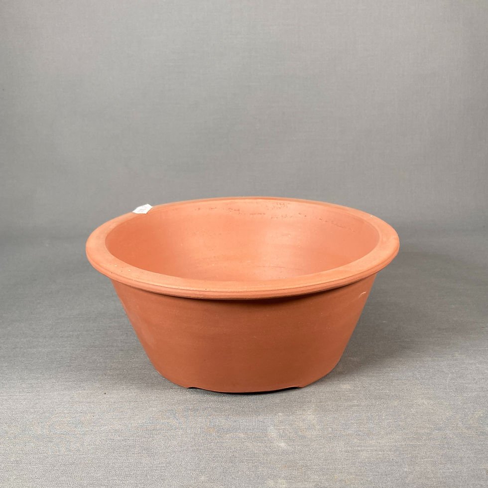 Thumbnail: Schale China