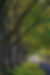 LGM2.jpg
