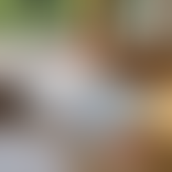 Schwellenrampe aus Aluminium – jetzt mit Hilfsmittelnummer im GKV-System