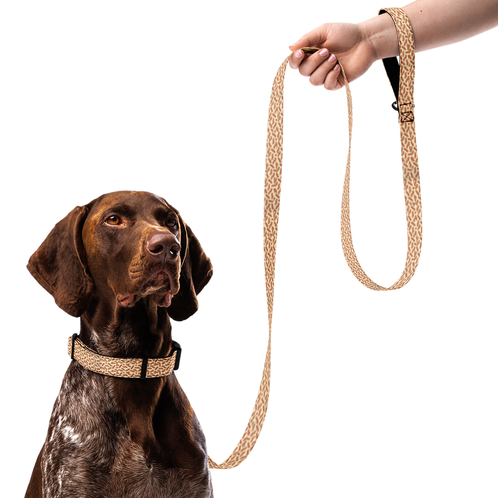 Thumbnail: Bacon Pet collar & leash Combo