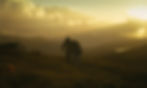 love+hills+for+insta_edited.jpg