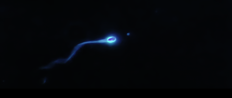 Screenshot 2024-07-03 at 13.17.03.png
