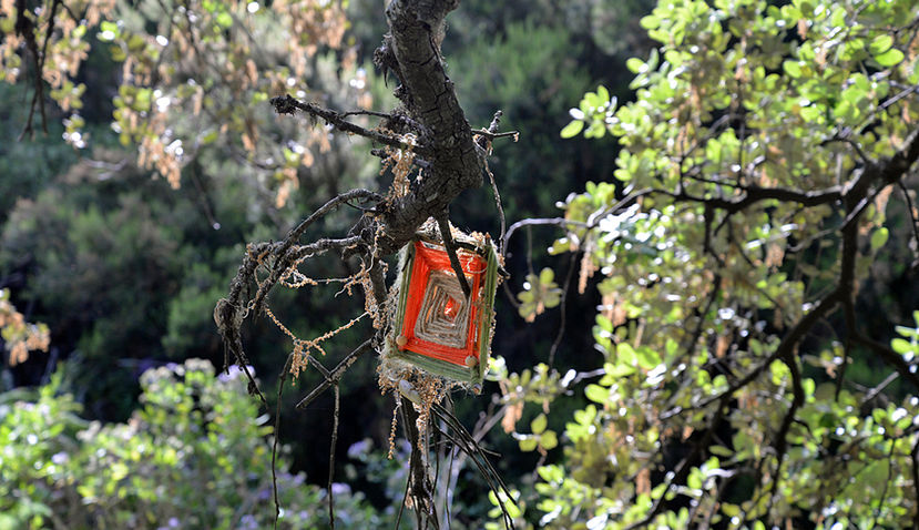 Natur, Heilritual, La Palma