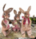 needle felted bunny dolls