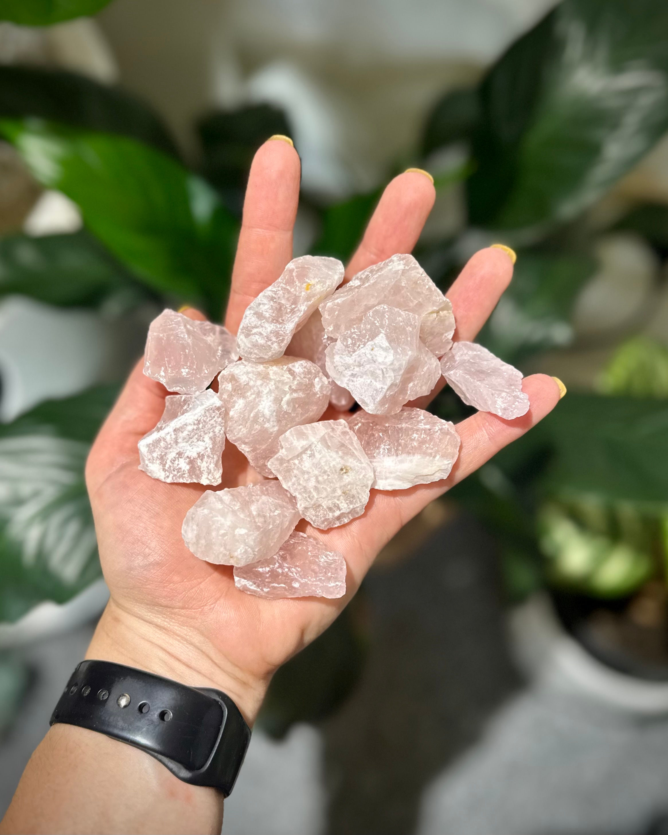 Rose Quartz Raw Chunks - SMALL