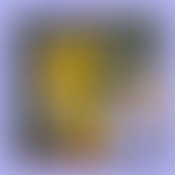 Crate Diggin' - May 2023