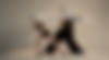 Webtickets banner image_edited_edited.png