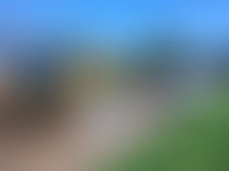 Vecinos denuncian que deben “sacar los autos a tiro” cada vez que llueve para entrar a barrio Foresta