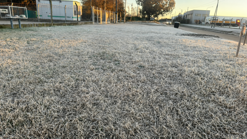 El sur de Córdoba arrancó bajo cero y se vienen más heladas