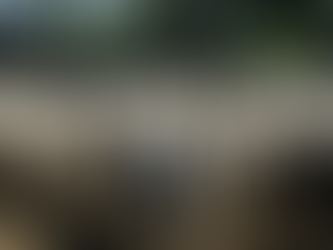 Desde corrientes, la carne ovina argentina vuelve a conquistar mercados