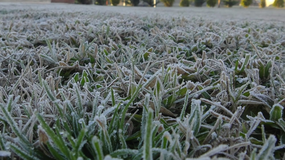 Frío, viento y heladas: el pronóstico que marca la semana en el Sur Cordobés