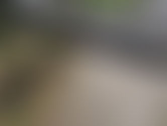 Impactantes imágenes desde el aire: así se ve la creciente del río Cuarto tras las lluvias