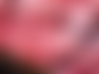 Milei elimina las retenciones a la carne bovina y aviar hasta octubre