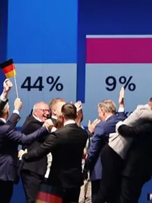 AfD, el nuevo peligro para una Europa democrática