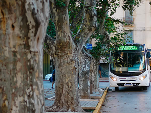 Transporte urbano: sube el boleto a $1745 y crece el impacto en el bolsillo