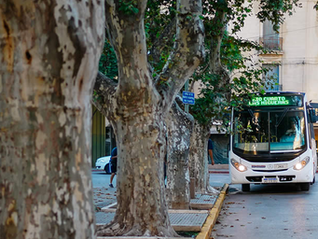 Transporte urbano: sube el boleto a $1745 y crece el impacto en el bolsillo