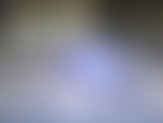 Escaló el paredón de una escuela y lo detectaron por las cámaras