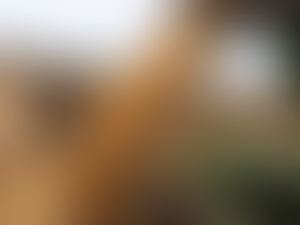 Javier Rotondo por la quita temporal de retenciones: “El Gobierno se dio cuenta que se puede”