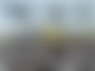 Brownies con droga en pleno festival: Detuvieron a dos vendedores en Cosquín Rock