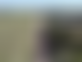 Las Acequias reclama la reactivación de la Ruta 10 para conectarse con Adelia María