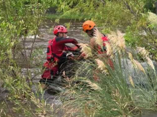 Un perro quedó atrapado en la creciente y el rescate emocionó a vecinos en Carlos Paz