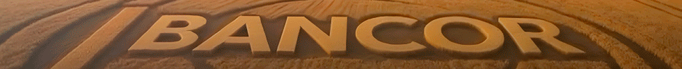GIF_980x100px BANNER BANCOR.gif
