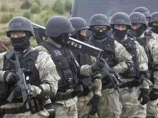 Un sargento del ETER, detenido por disparar a una mujer durante un brote psiquiátrico