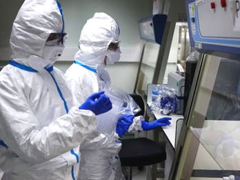 Preocupación sanitaria en Europa por la nueva cepa de influenza A