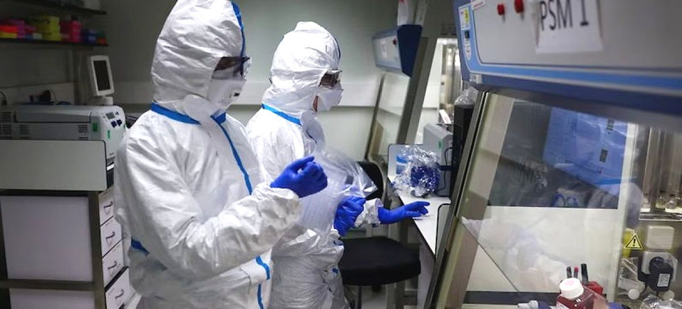 Preocupación sanitaria en Europa por la nueva cepa de influenza A