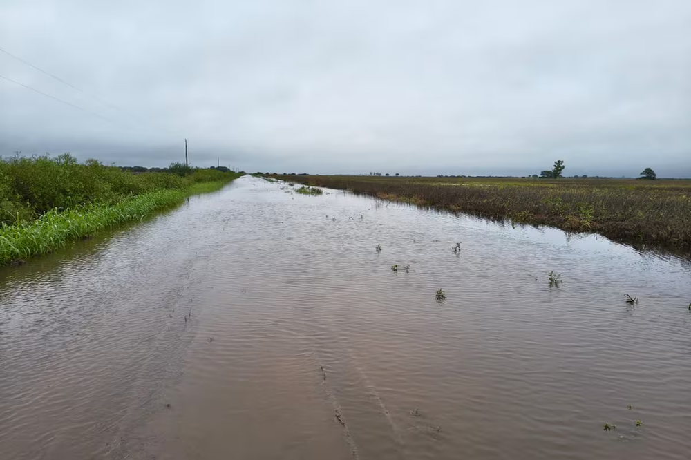 Inundaciones históricas dejan al agro al límite en Santa Fe: “Los caminos son ríos”