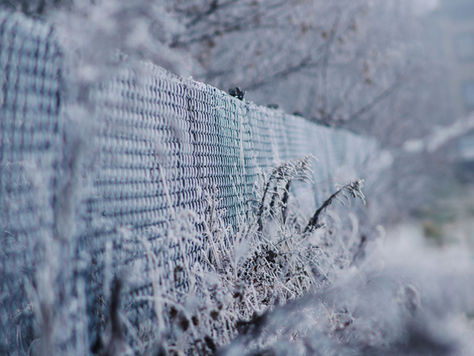 Vuelve el frío intenso: Heladas, baja sensación térmica y posibles nevadas