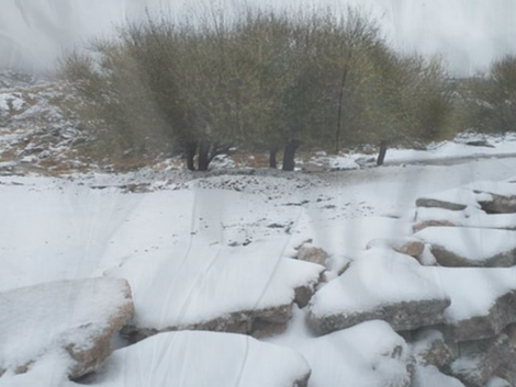 SE VIENE UNA OLA DE FRÍO POLAR: advierten por heladas, nevadas y temperaturas bajo cero en gran parte del país