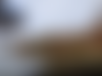 Investigadores de la UNRC advierten la falta de mantenimiento del lago Villa Dalcar