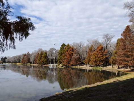 Investigadores de la UNRC advierten la falta de mantenimiento del lago Villa Dalcar