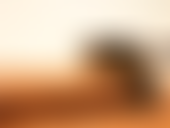 Bajan las retenciones, pero el campo sigue pagando caro: más de la mitad se va en impuestos