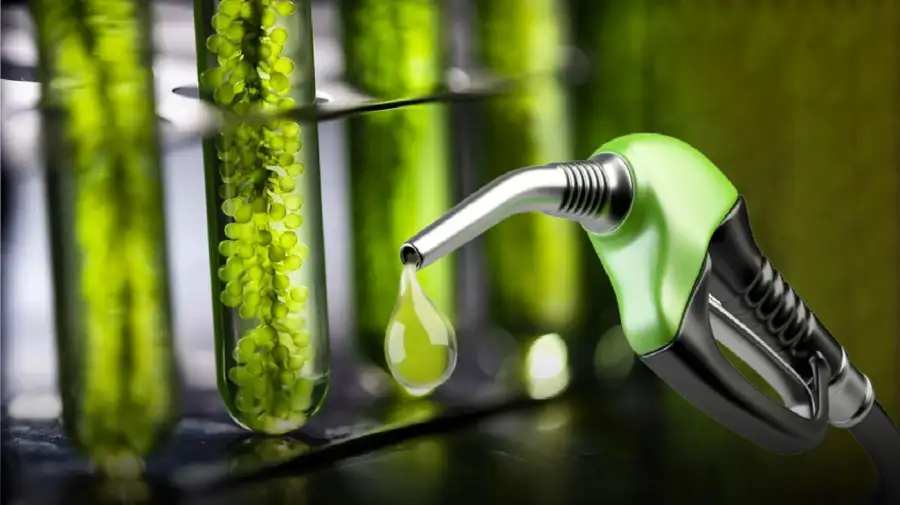 Biocombustibles: el Congreso reactiva una discusión estratégica para el interior productivo