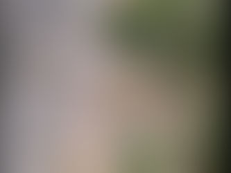 Peligro en Ruta 8: denuncian deterioro de las basquinas y falta de señalización