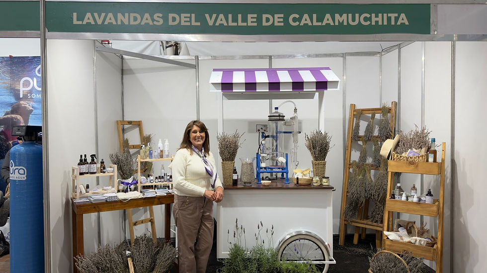 La lavanda de Calamuchita llegó a la Rural: el aroma que nace de una flor y se transforma en cientos de productos