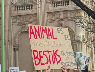 A pesar de la contundente marcha, el Concejo de Bahía Blanca no trató el proyecto contra los agresores del coipo