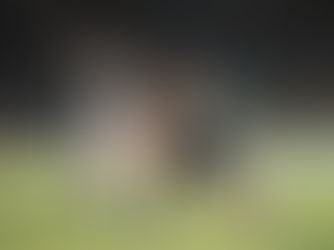 El fútbol argentino entra en pausa: La fecha 9 recién se jugará en mayo