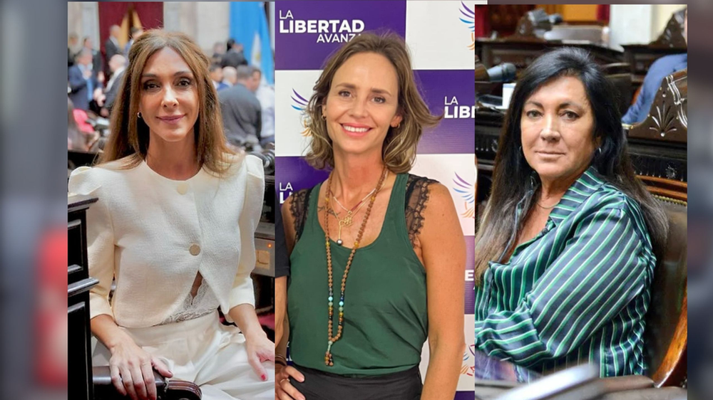 Zona fría: quiénes fueron los diputados cordobeses que apoyaron  la quita del subsidio