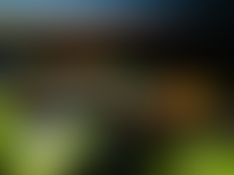 Verano con sabor local: Las Higueras lanza festivales gratis para toda la región