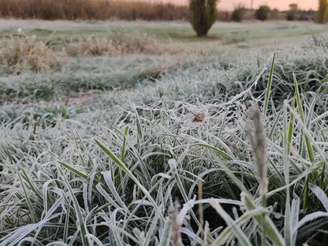 Pegó el invierno: Ataliva Navarro anticipa más nevadas, heladas y nuevos ingresos de aire polar